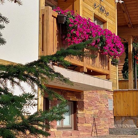 Villa Natural Wood Zlatibor Luaran gambar