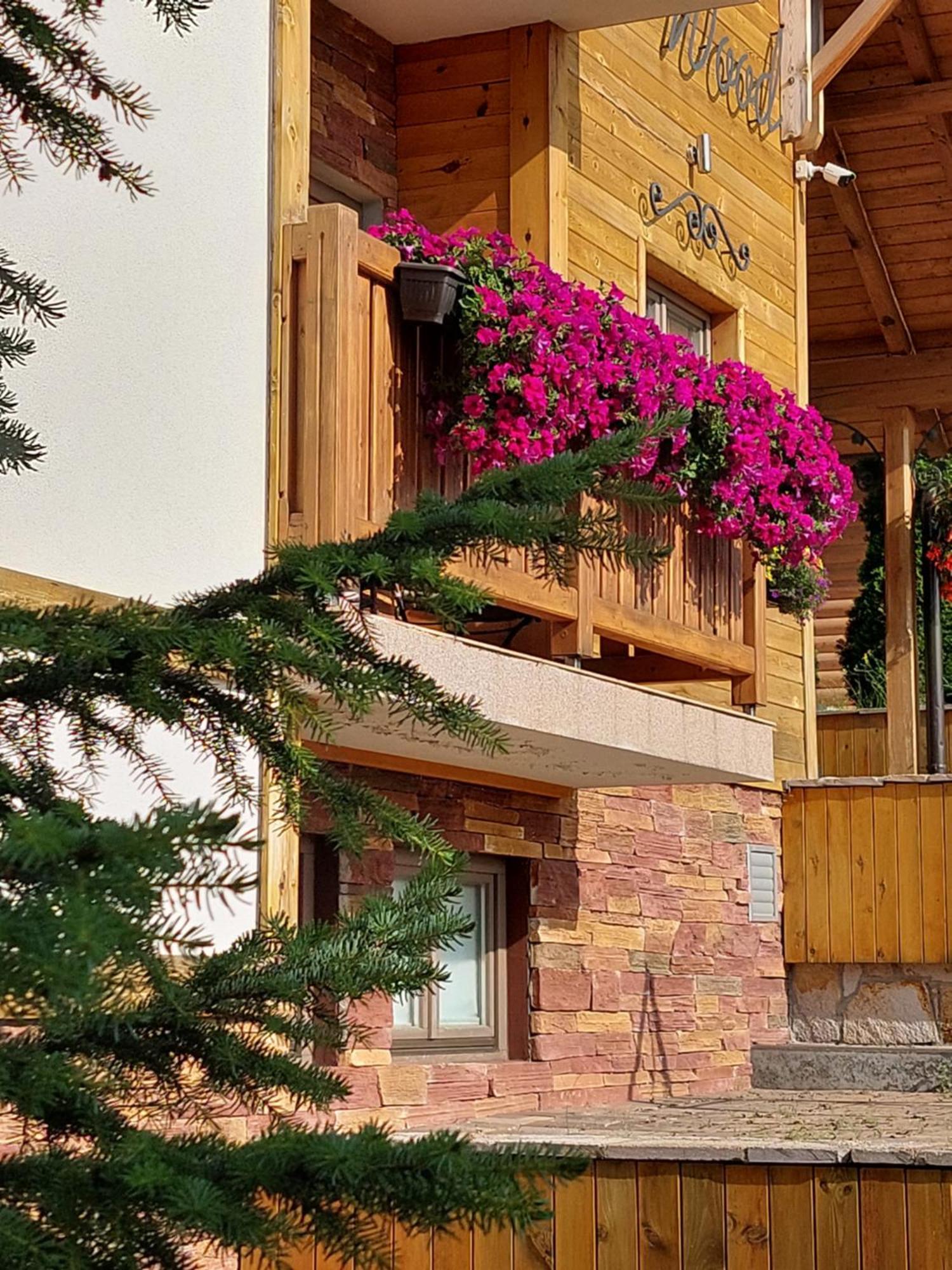 Villa Natural Wood Zlatibor Luaran gambar