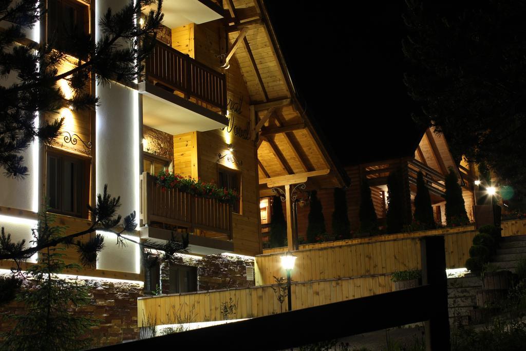 Villa Natural Wood Zlatibor Luaran gambar